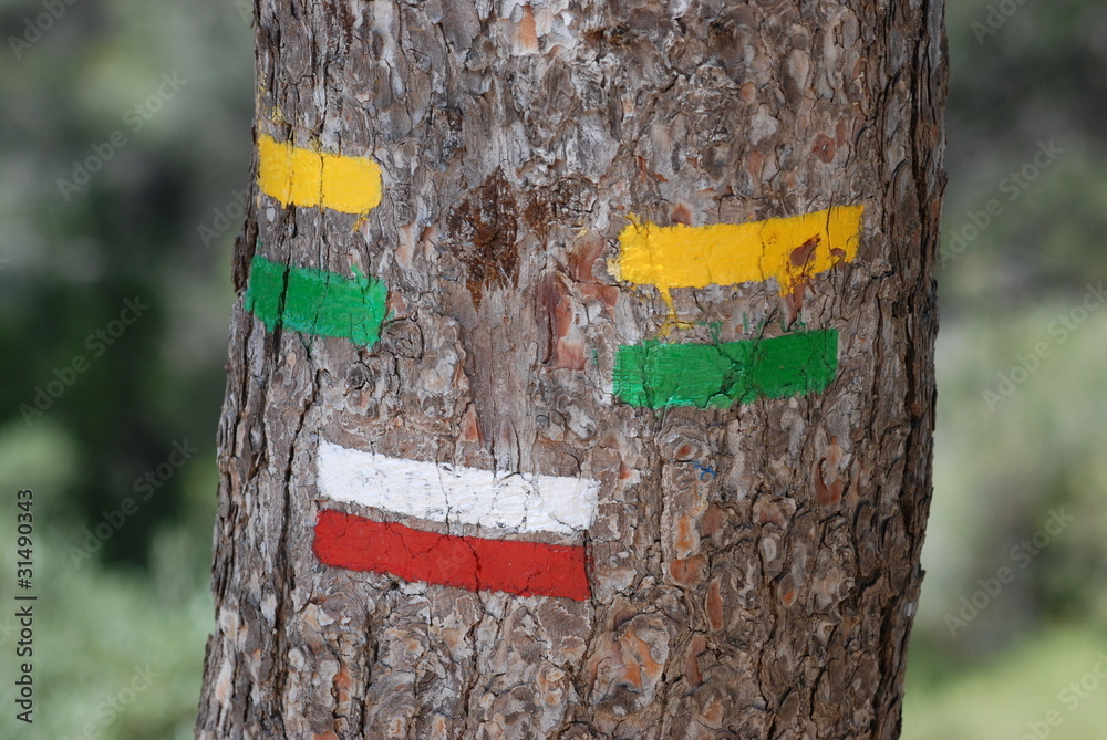 Fototapeta premium rando