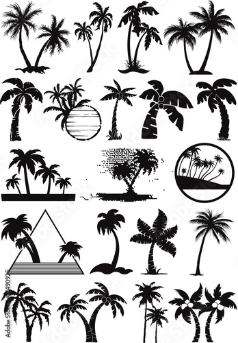 palm  and coconut trees vector silhouette #31490925
