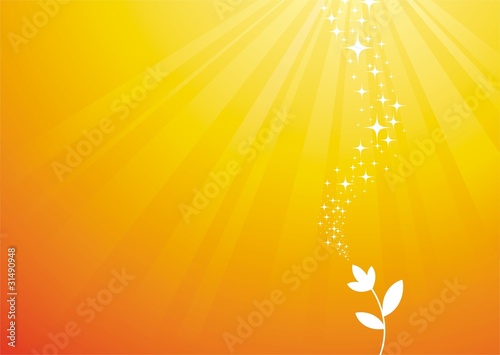 Flower, and mysterious light phenomenon