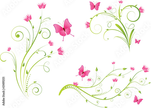 Floral elements and butterflies set