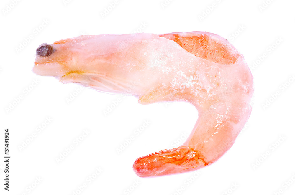 Fototapeta premium shrimp