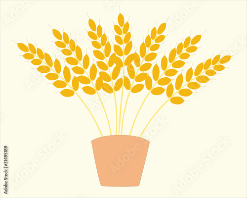 The Wheat.