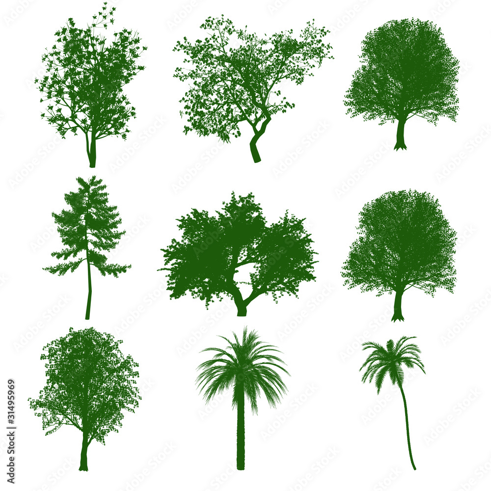 植物のシンボルセット 植物のシンボルセット
