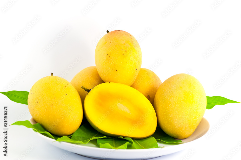 mango on the white background
