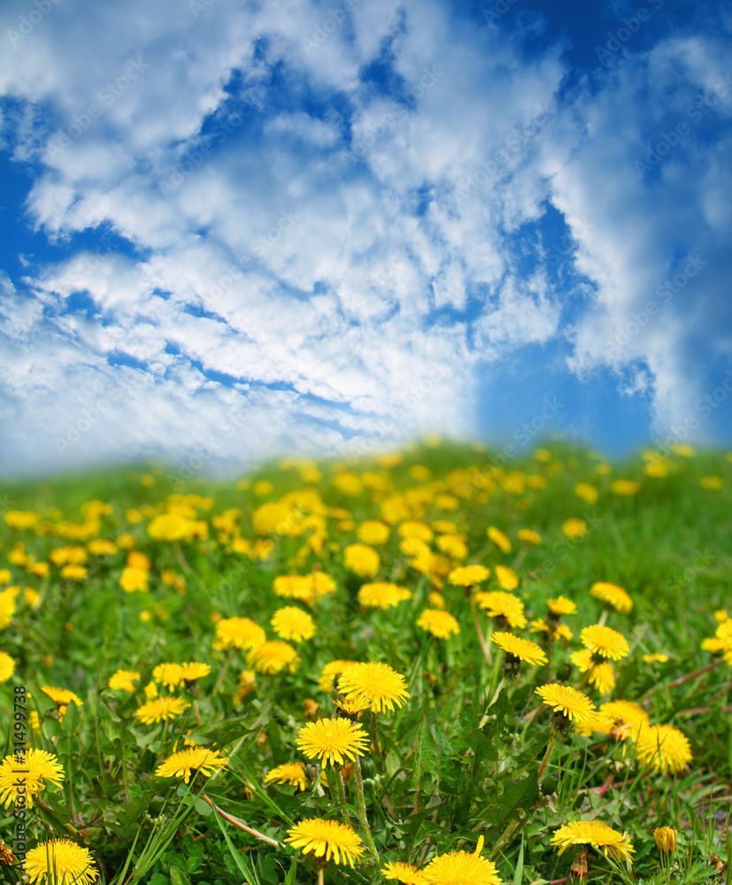 Spring landscape Spring landscape