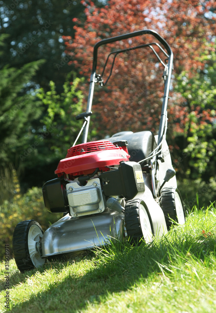 Fototapeta premium tondeuse à gazon pour tonte de la pelouse verte