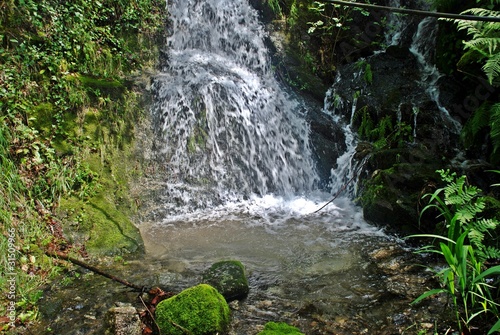 cascata em seramil