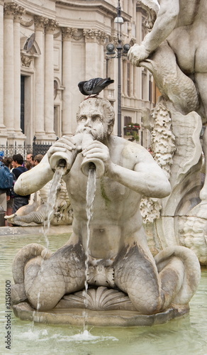 Roma, Fontana del Moro photo