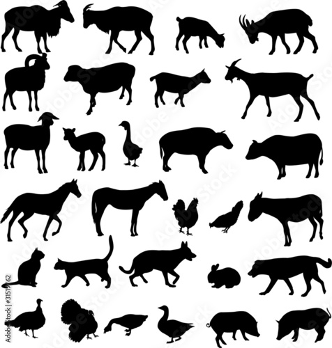 farm animals silhouettes - vector