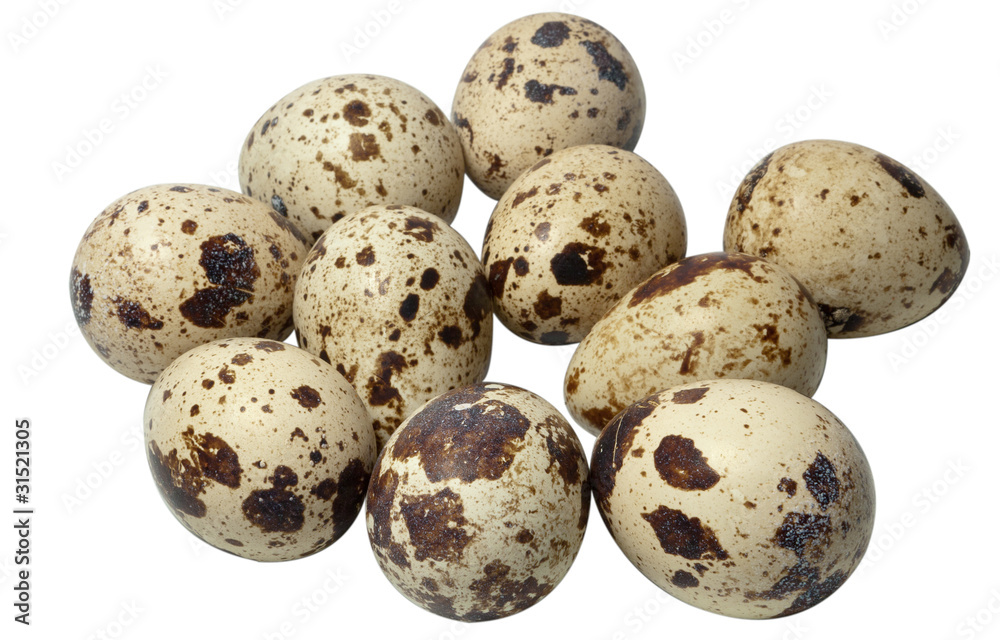 Quail eggs isolated on white Quail eggs isolated on white
