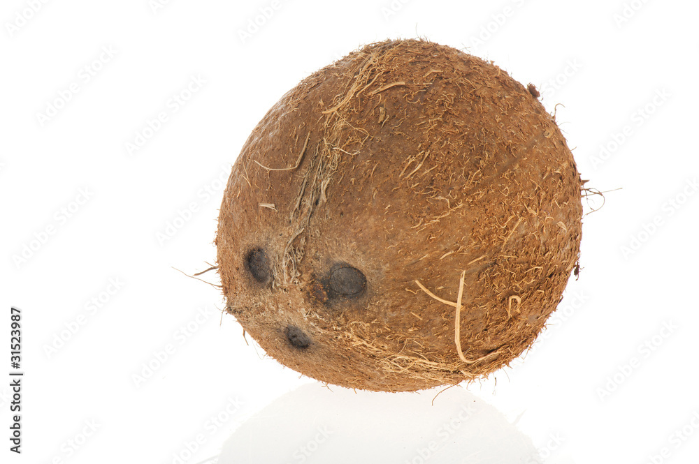 Fresh coconut Fresh coconut