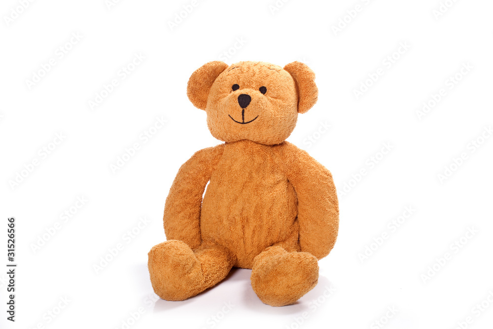 Obraz premium Teddy-bear isolated on a white background