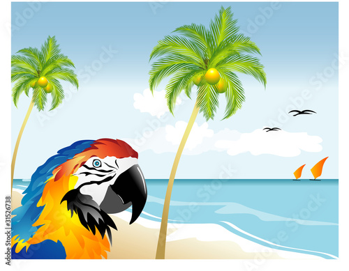 Spiaggia tropicale - Pappagallo