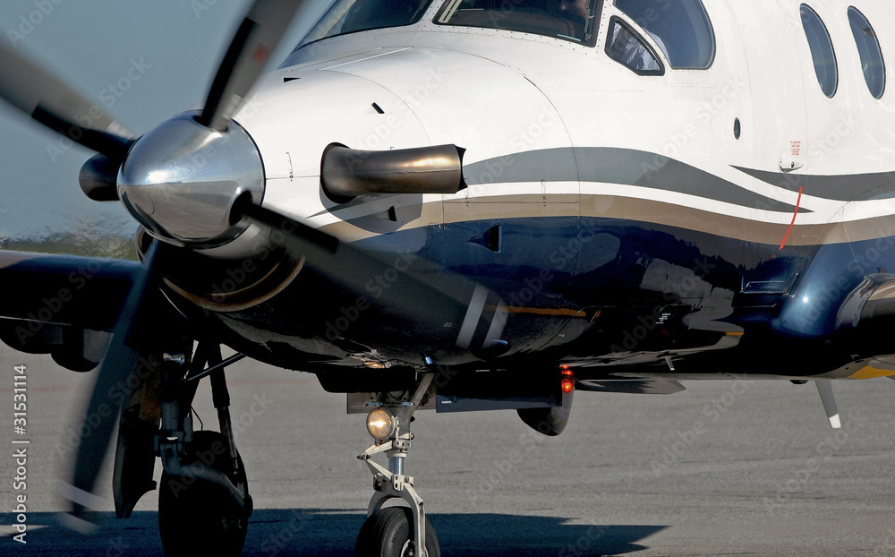 Fototapeta premium plane on the runway