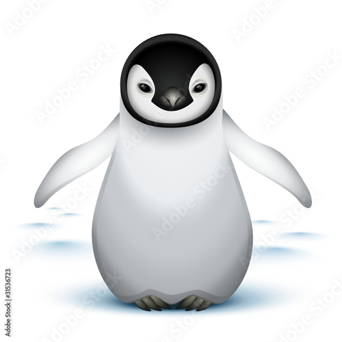 Little baby emperor penguin