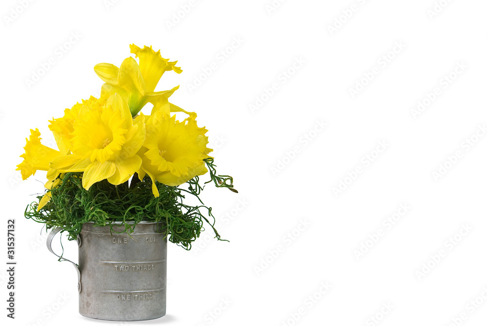 Daffodil Bouquet