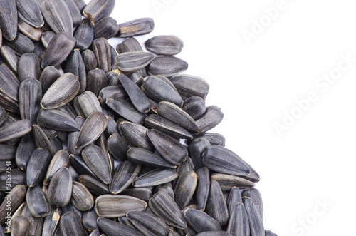 Fotografie sunflower seeds