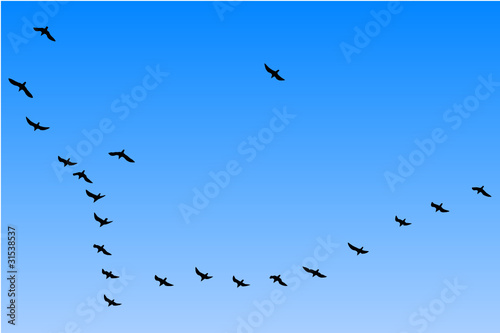Formationsflug am Himmel