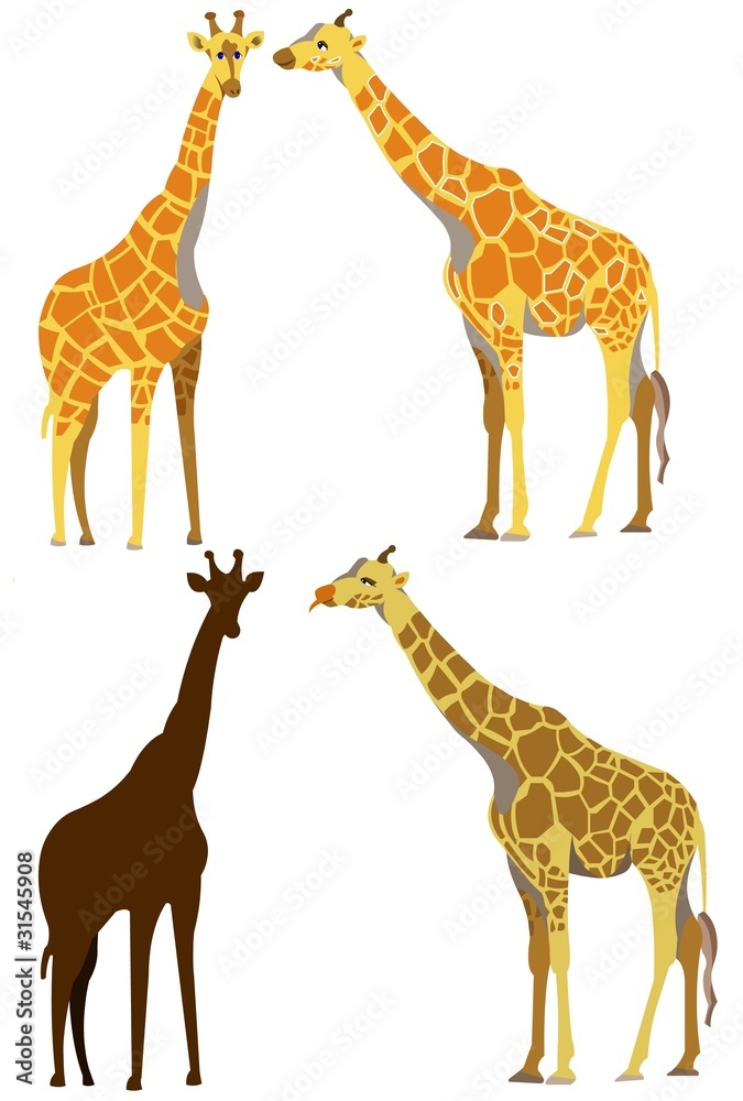 Obraz premium giraffe set