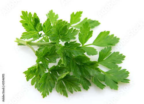 Fresh parsley