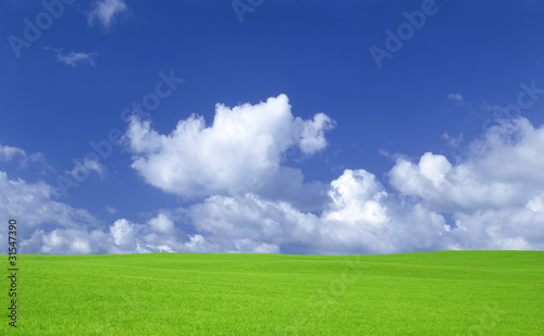 Green grass and sky