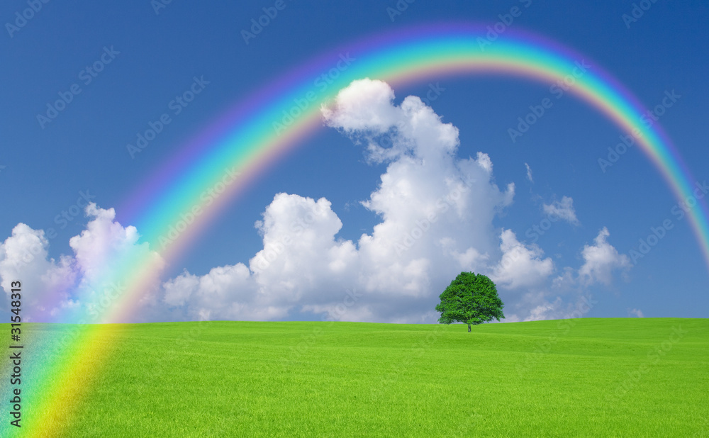Green field with lone tree and rainbow Green field with lone tree and rainbow