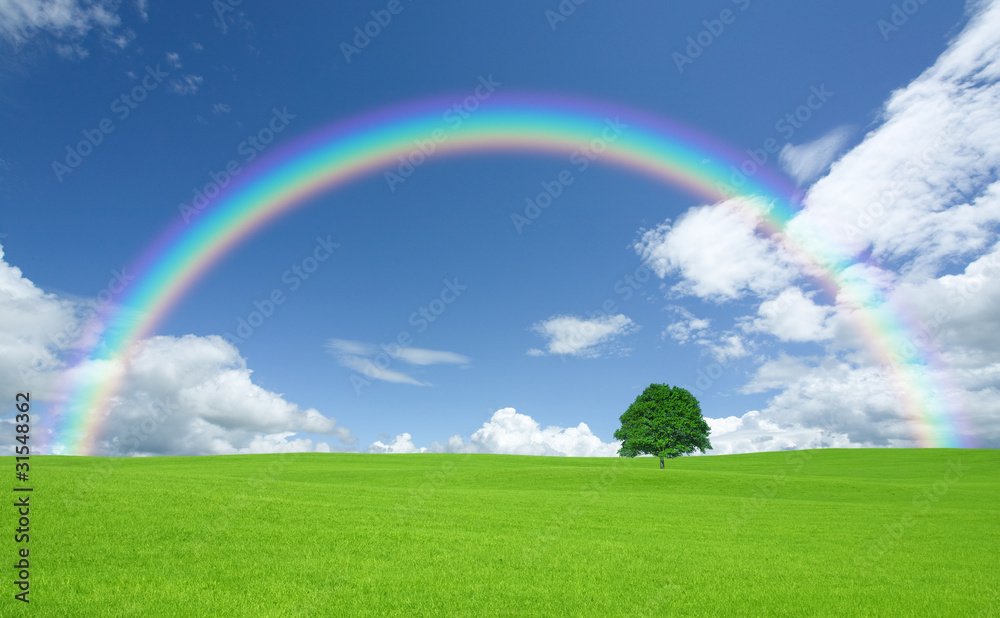 Green field with lone tree and rainbow Green field with lone tree and rainbow