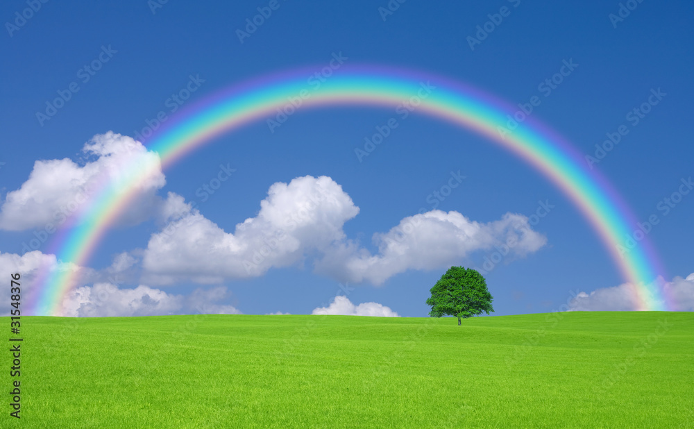 Green field with lone tree and rainbow Green field with lone tree and rainbow