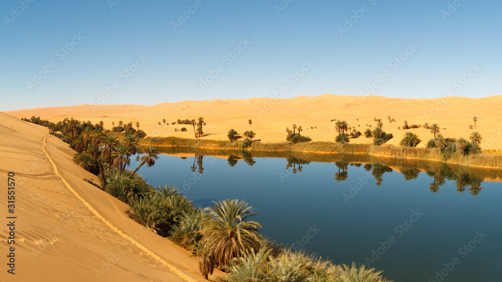 Naklejka premium Umm al-Ma Lake - Desert Oasis, Sahara, Libya