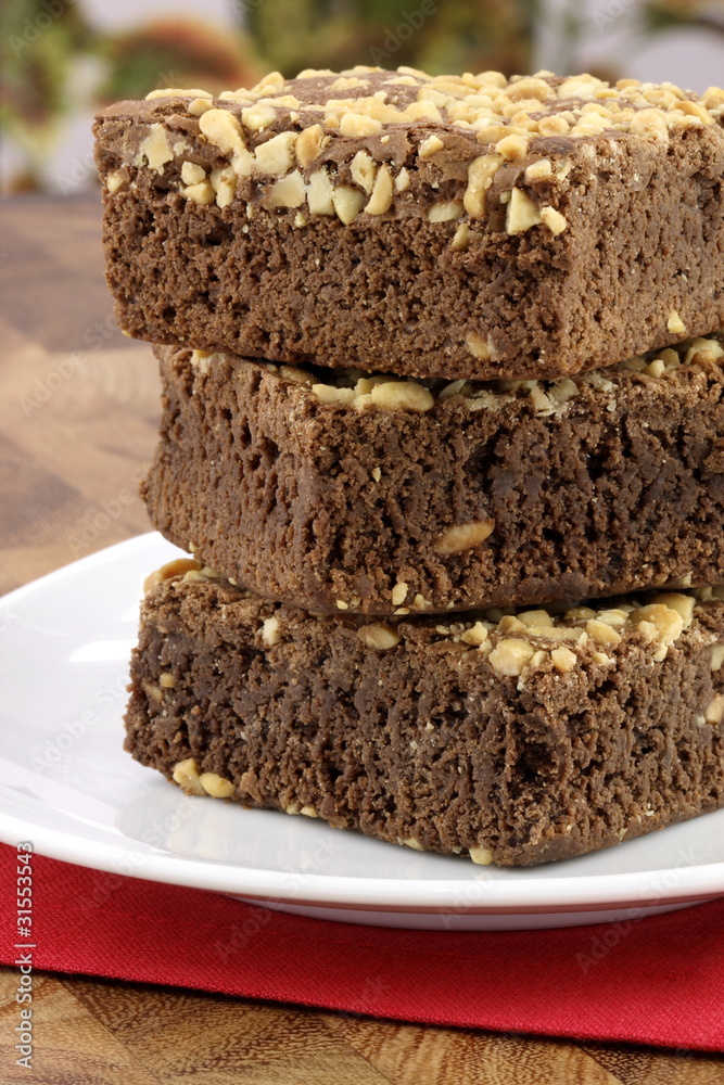 chocolate brownies with cracked peanuts on top chocolate brownies with cracked peanuts on top