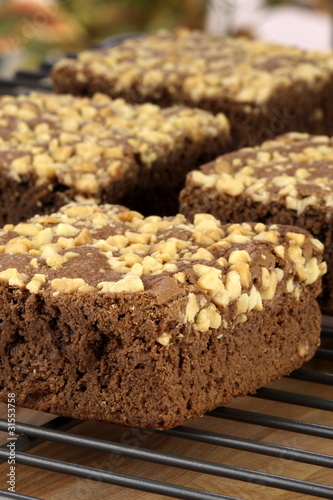 chocolate brownies with cracked peanuts on top