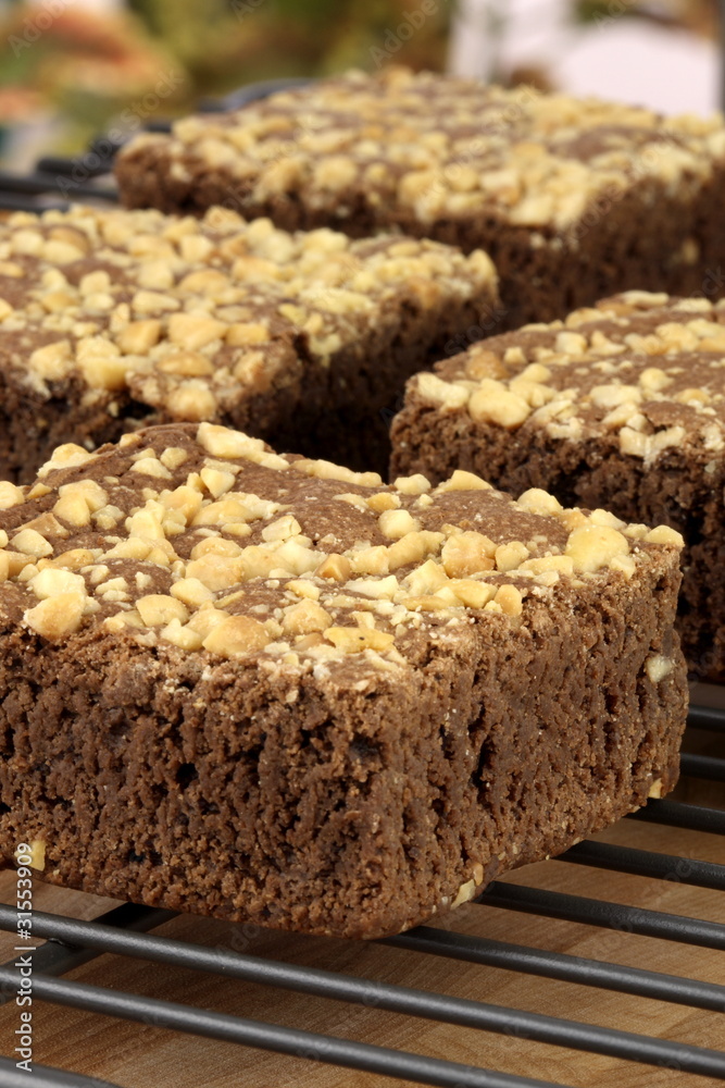 chocolate brownies with cracked peanuts on top