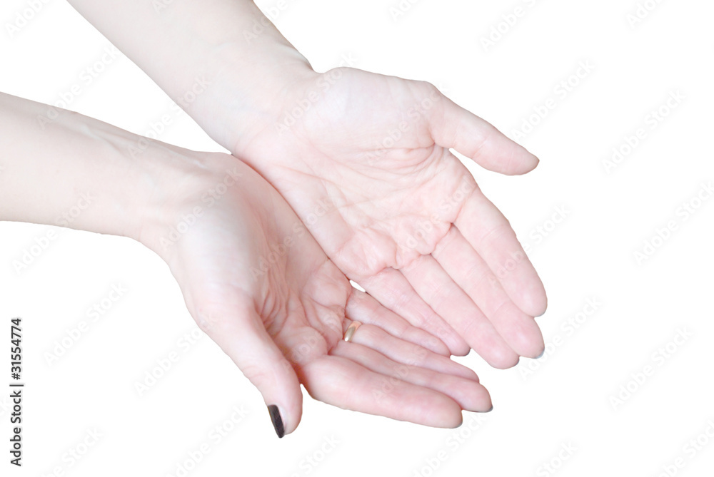 Empty open woman's hands isolated on white Empty open woman's hands isolated on white