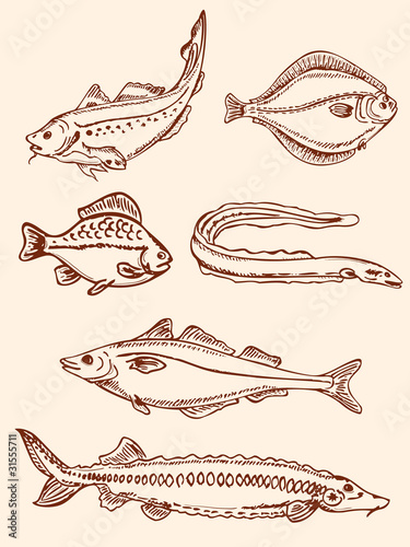 set of vintage saltwater fish