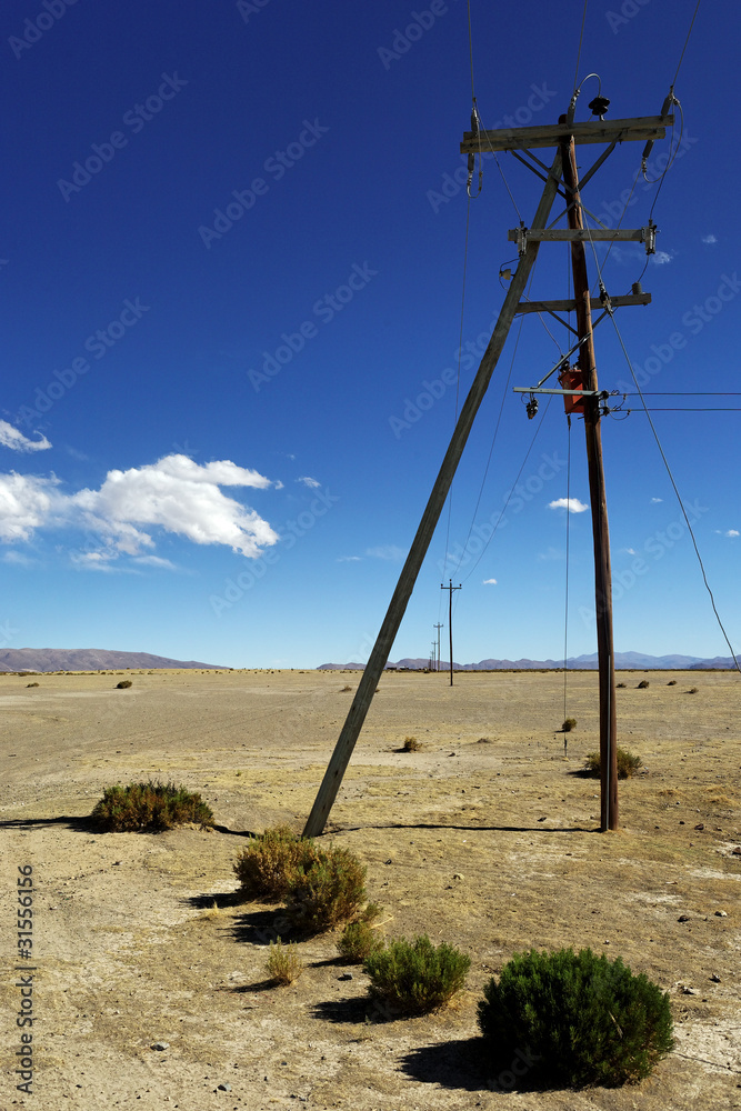 Poteaux électriques à perte de vue dans le désert argentin Poteaux électriques à perte de vue dans le désert argentin