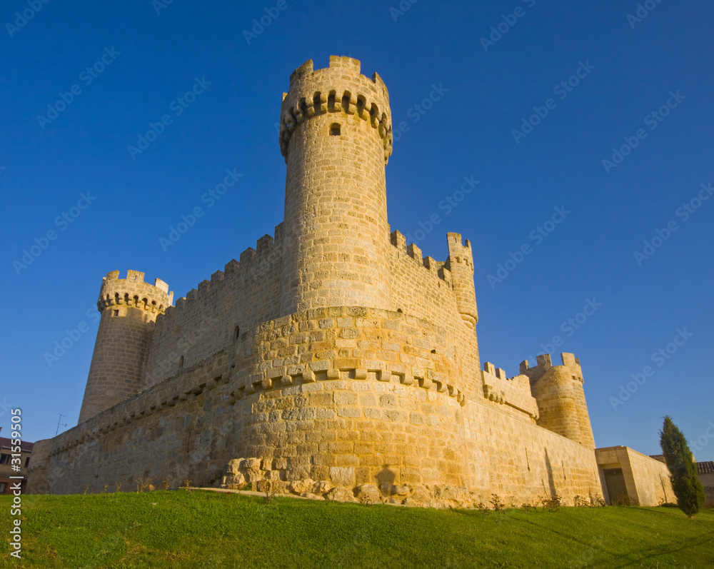 The Castle of Cartagena, a town of Sasamon Olmillos.