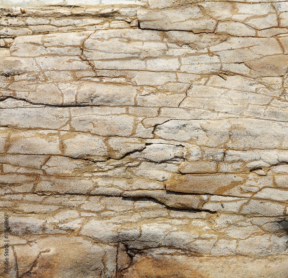 Stone Texture