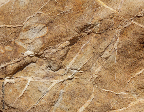 Stone Texture