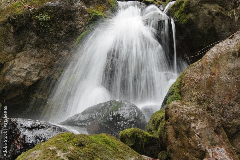 Obraz premium Waterfall