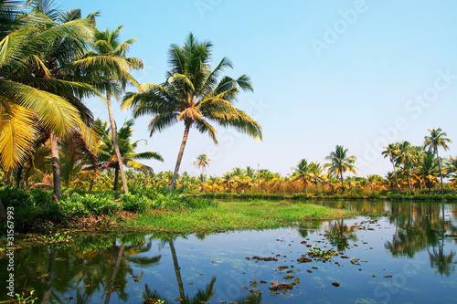 Houseboat tour through the backwaters of Kerala  India