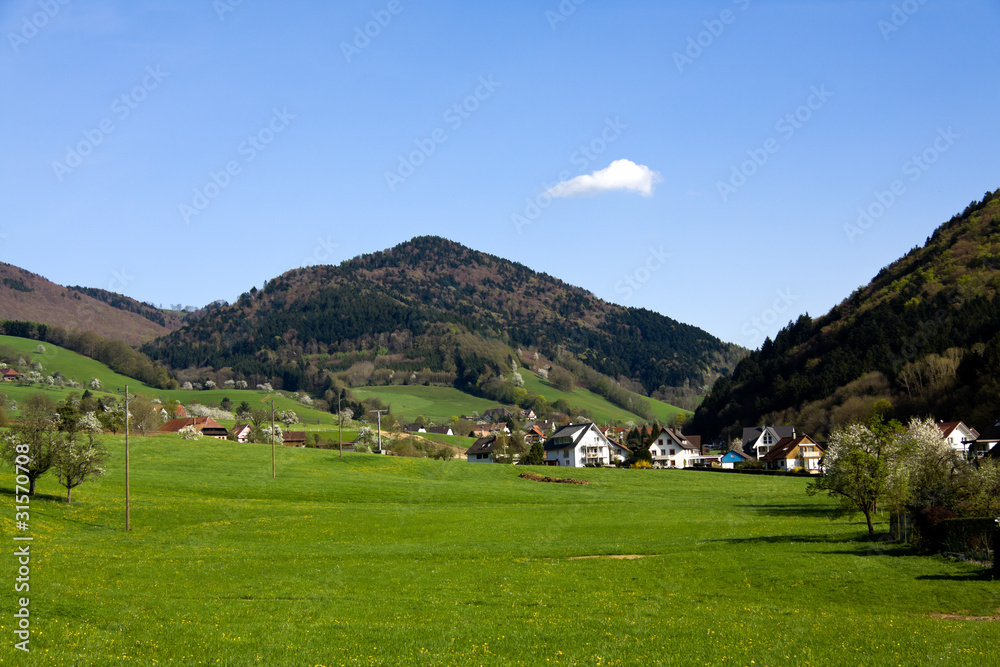 Schwarzwald Wiesen,Glottertal