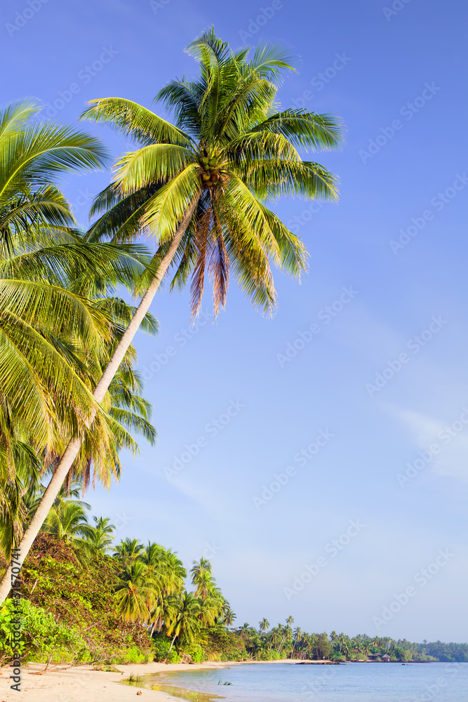 Obraz premium Tropical Island Scenery