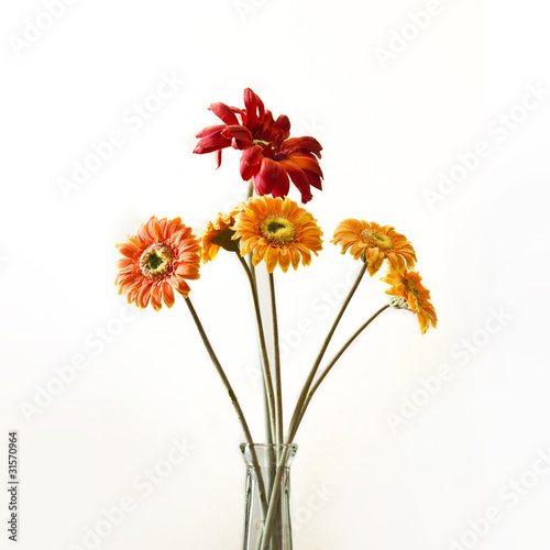 fleurs artificielles © pixarno