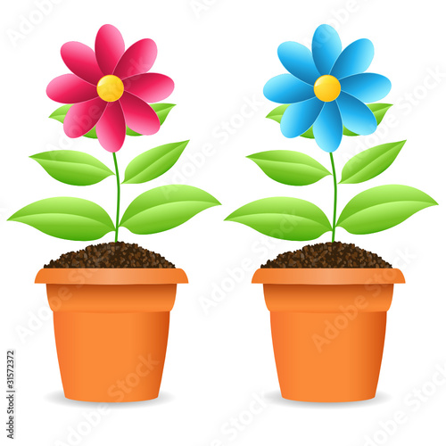 Blumentopf