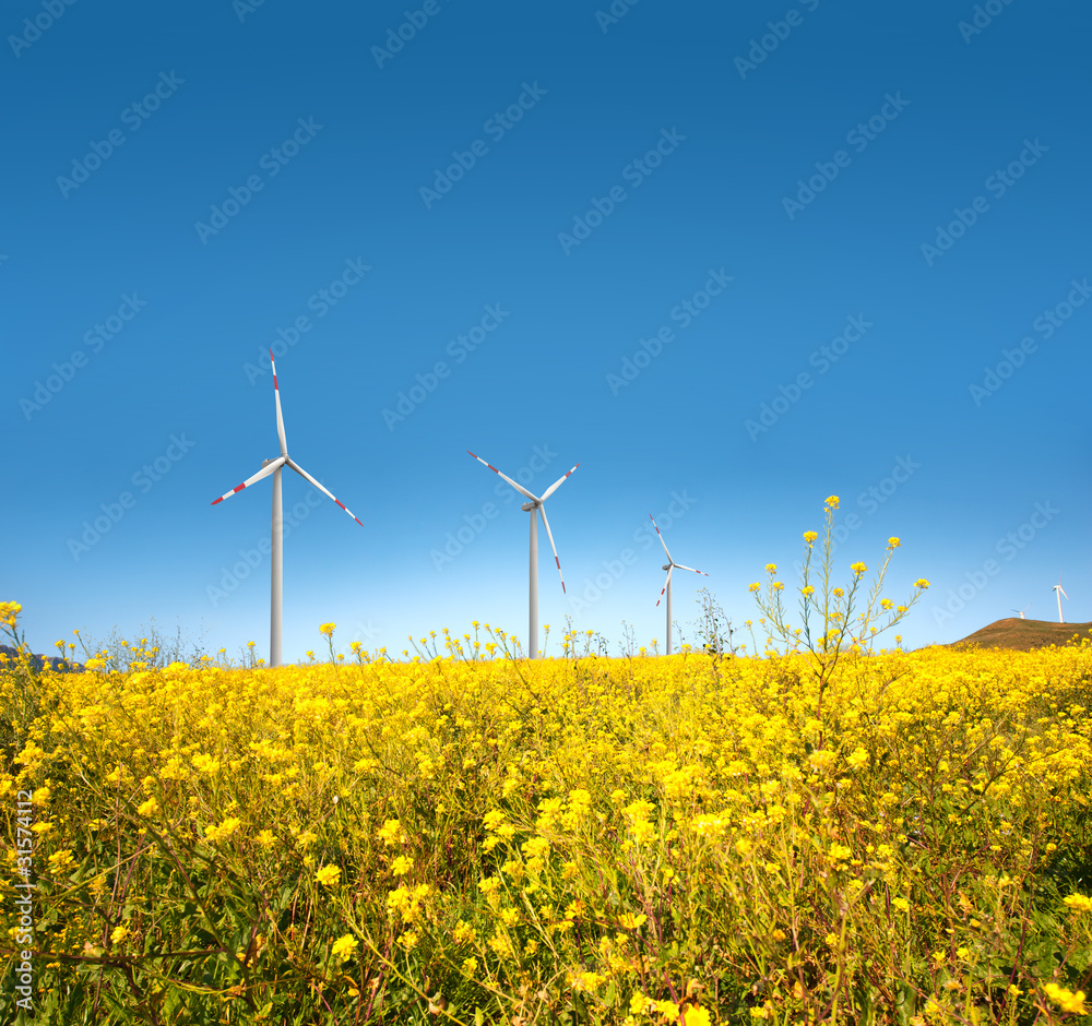 Wind turbine