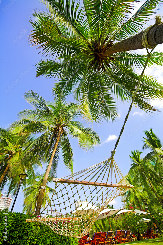 Fototapeta premium Hammock