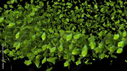 Wallpaper Mural green leaves trail Torontodigital.ca