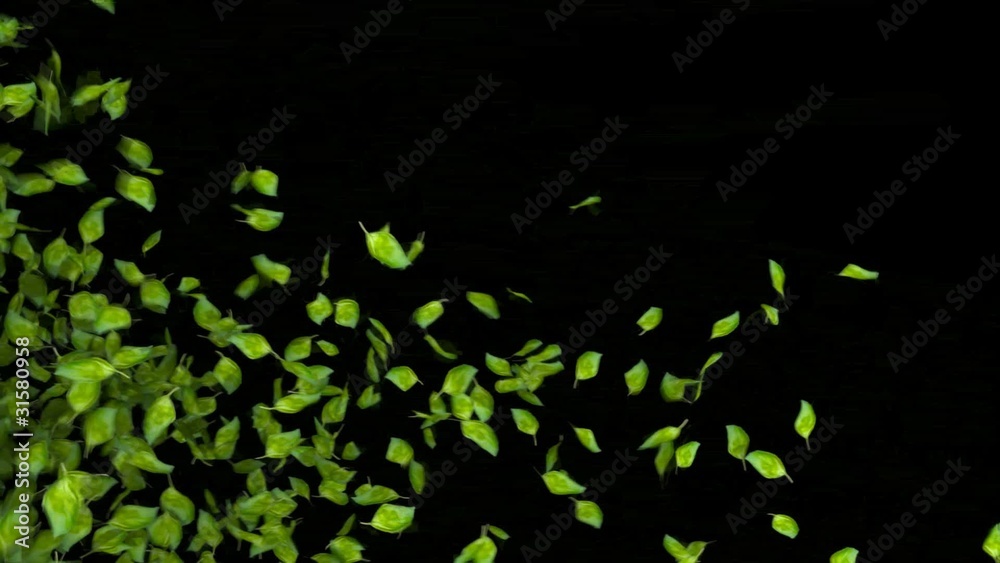 green leaves transition