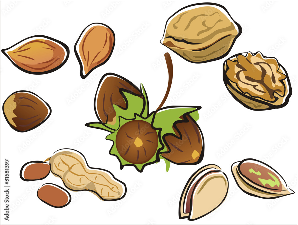 Nuts collection Nuts collection