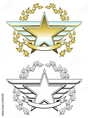 Gold star medal